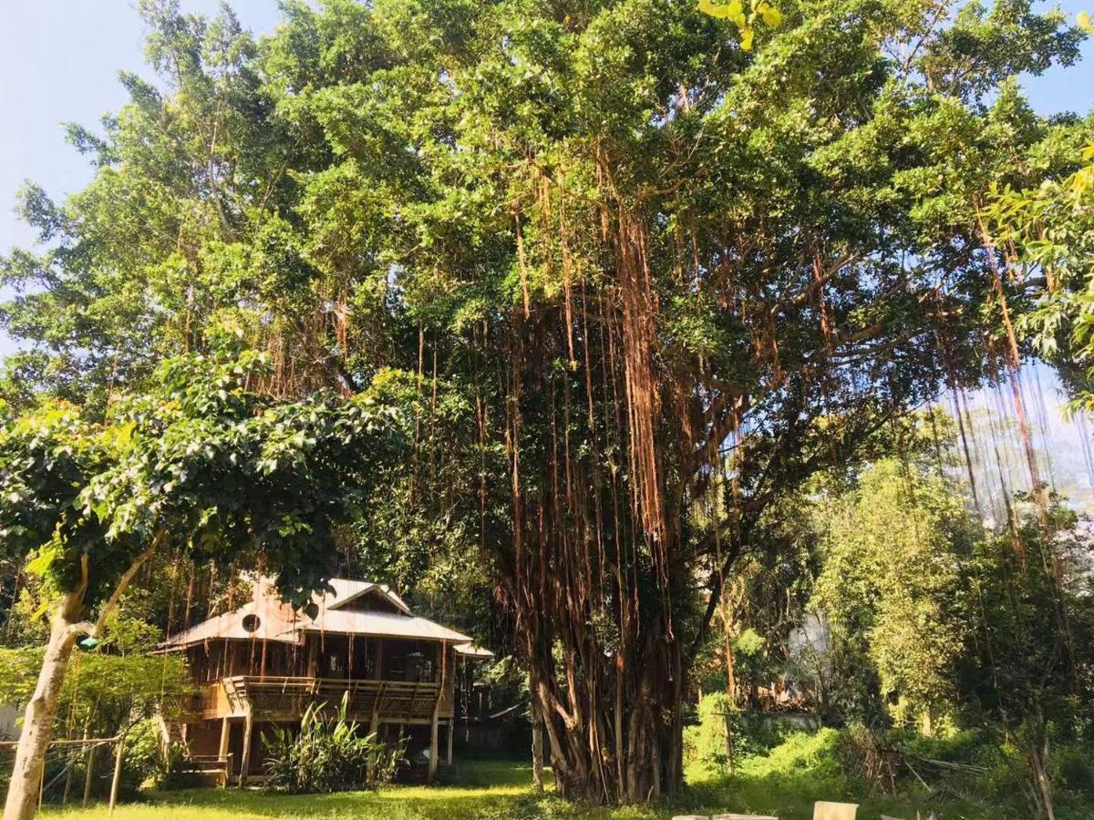 Golden Hut -Chill Bungalows In Town黄金泰式传统独栋小屋 Paj Kültér fotó